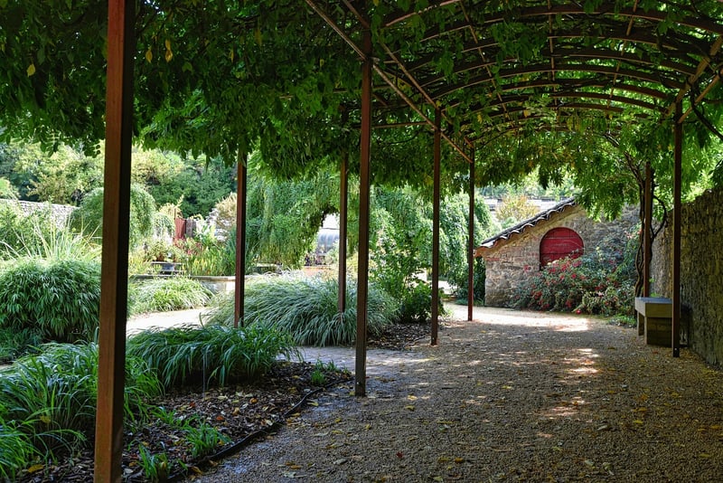 Enchanted Arbors